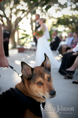 Best Winter Park Civic Center Wedding photographer - Sandra Johnson (SJFoto.com)